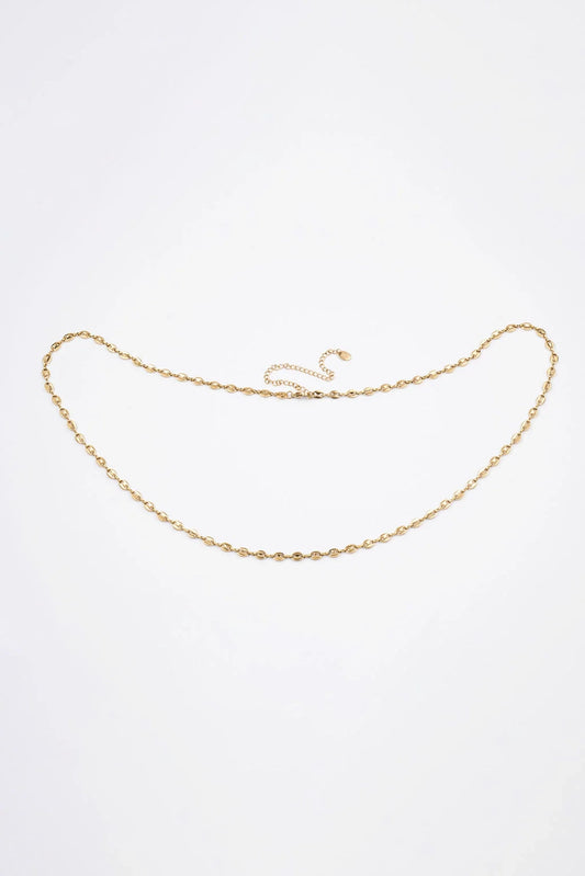 COIN BELLY CHAIN
