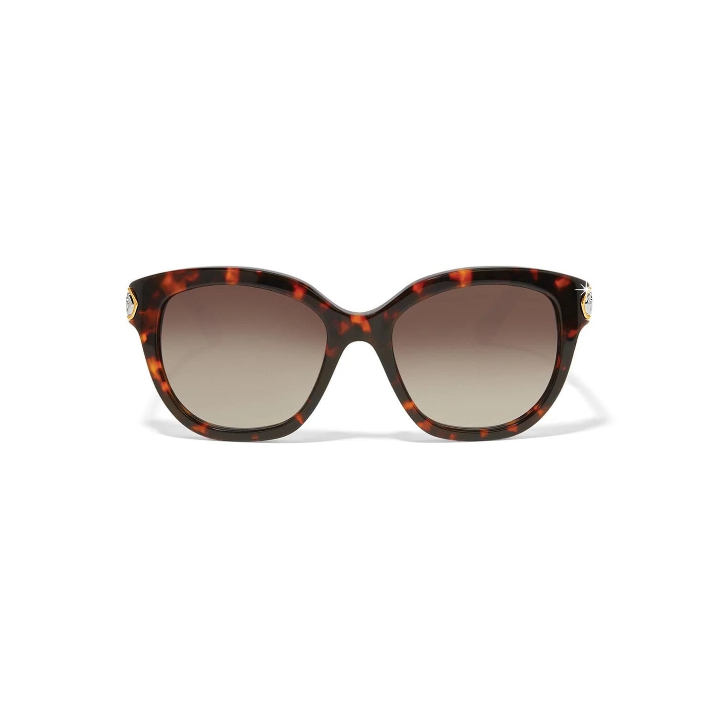 INTRIGUE AMBER TORTOISE SUNGLASSES
